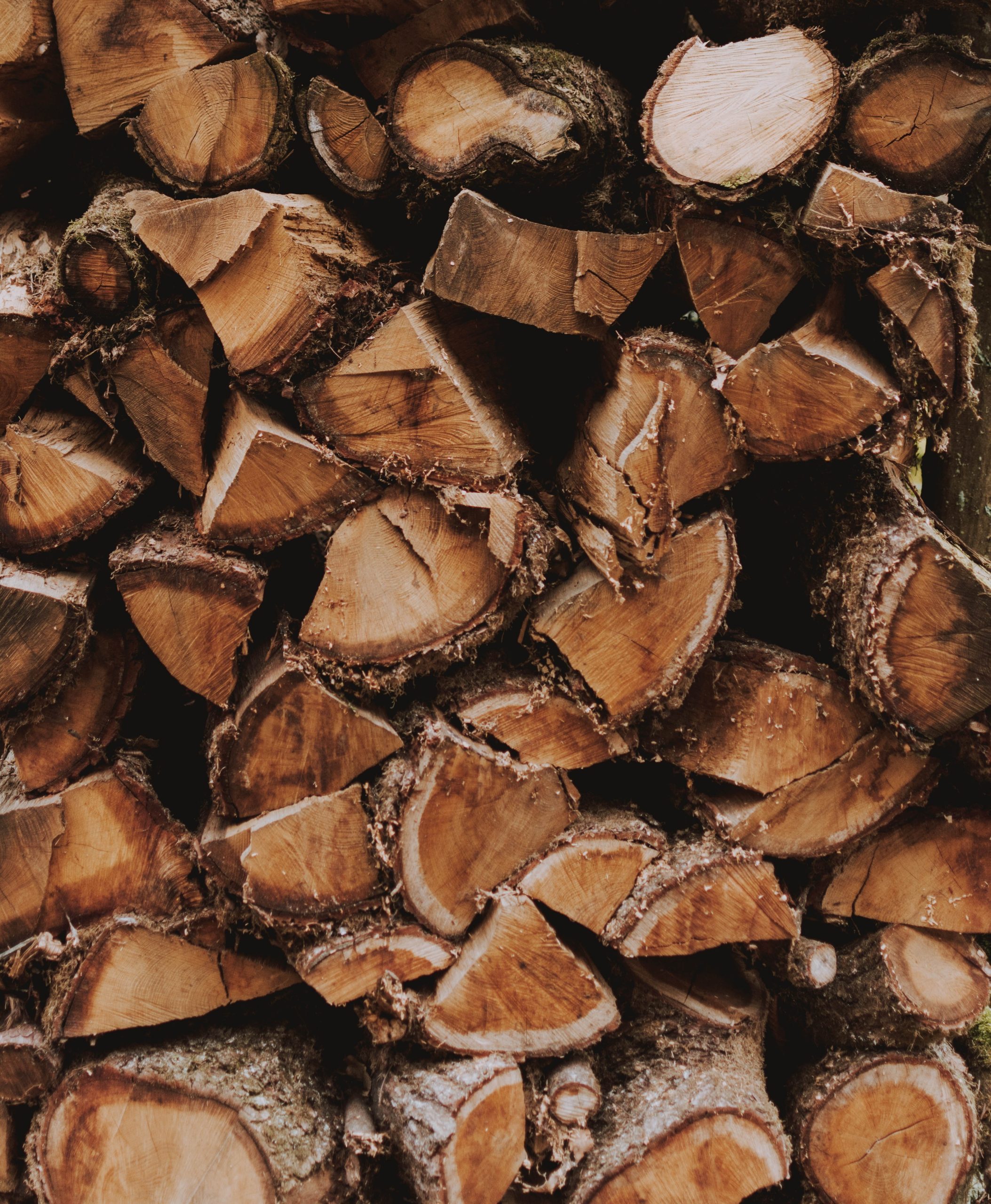 Lumber Yard Chattanooga, TN Chattanooga Hardwood Center